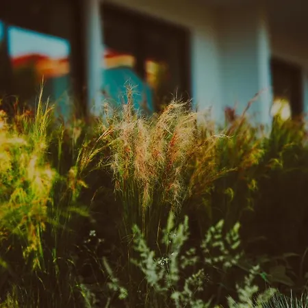 Fenias Luxury 公寓 Kallithea (Chalkidiki)