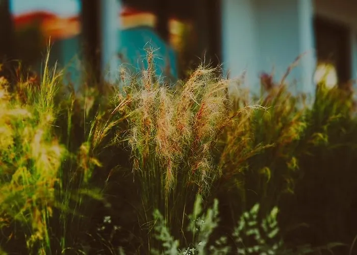 Fenias Luxury Appartement Kallithea (Chalkidiki)